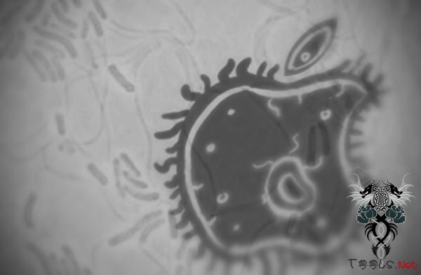 苹果电脑首次遭遇黑客“勒索软件”