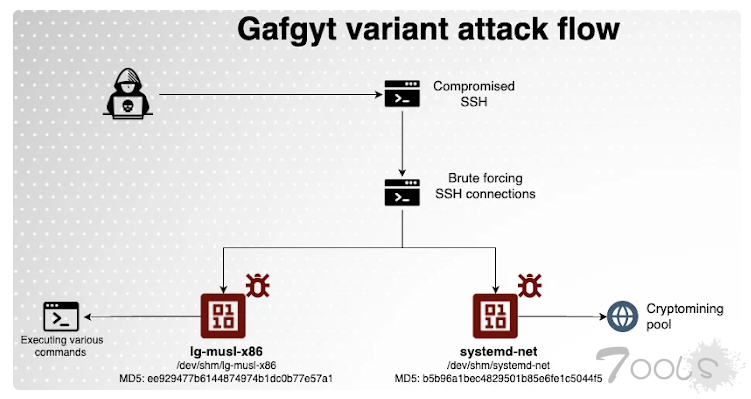 新型 Gafgyt 僵尸网络变种利用弱 SSH 密码进行 GPU 加密货币挖矿