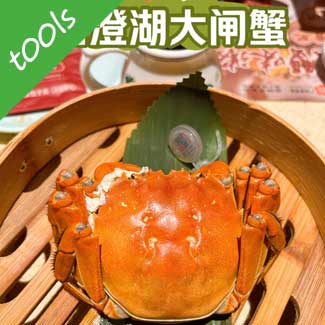 T00ls限定款阳澄湖大闸蟹